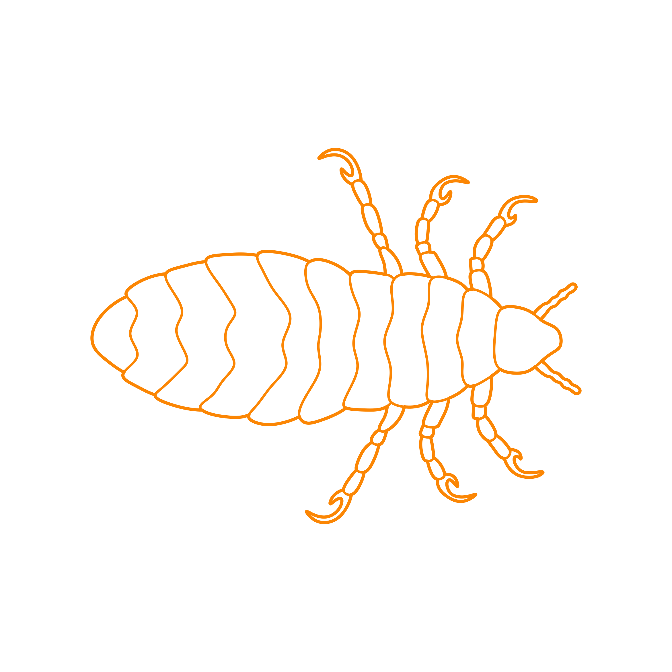 Animals Insects Human Flea Outline Icon Svg Set Free Vectors